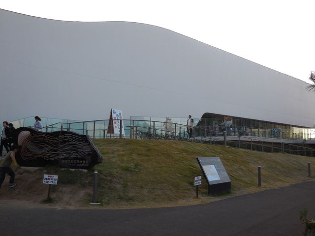 �߉��s�����ΐ�����
_�߉��s�����ΐ����ف@���X