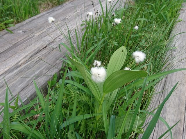 ^XQ@ĂƂӂӂ
̂͂܂GĂ܂B_