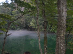 harusuさんの竜ヶ窪の池の投稿写真1