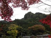 ڂ肳̓瓇˗q̓eʐ^5