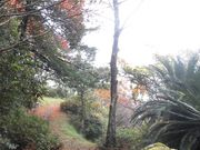 ڂ肳̐iꌧsj̓eʐ^2