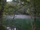 harusuさんの竜ヶ窪の池の投稿写真2