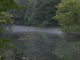 harusuさんの竜ヶ窪の池の投稿写真3