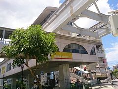 kijimunar̂䂢[hwւ̓eʐ^1