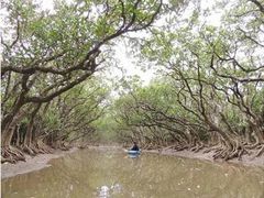 ĩ}O[uJk[c[Oւ̓eʐ^1