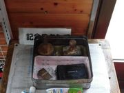 ڂ肳̔nwόē̓eʐ^1