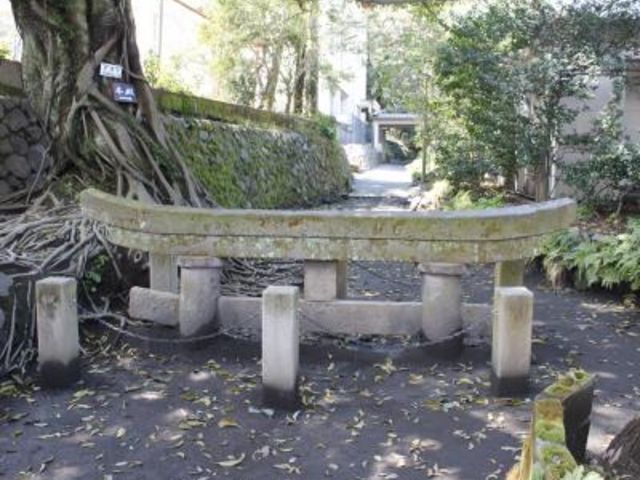 ���_���v����_���_���v����