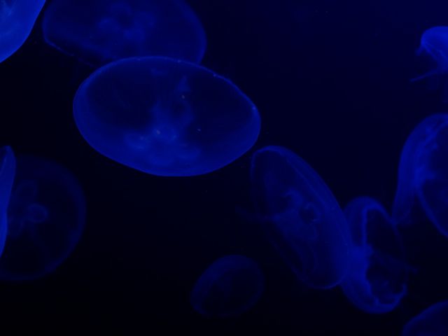 �}���z������2_�}���z������