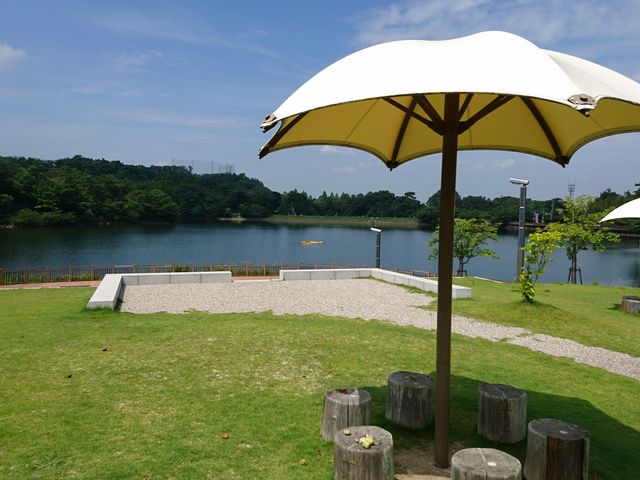 �C�����悢�V����_�ƃP�r