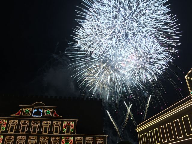 ��̉ԉ�_�u���X�y�C�����p���P�G�X�p�[�j��