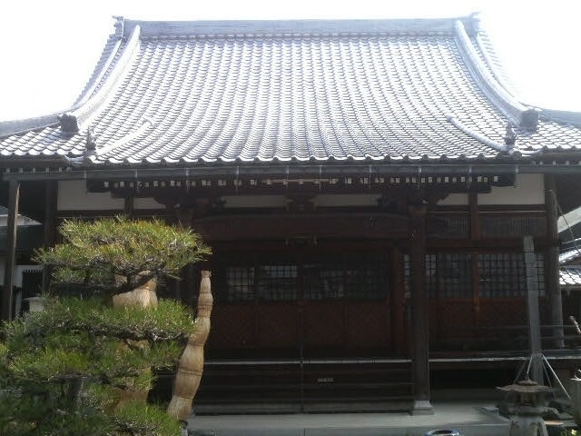 ���Ƃ��񂳂�̌��`���̓��e�ʐ^2