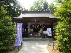 pon񂳂̏Hې_Ђւ̓eʐ^1