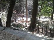 ���Ƃ��񂳂�̕ЎR�_�Ђ̓��e�ʐ^5