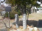 Ƃ񂳂̓yRh{wՂ̓eʐ^3