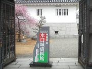 Ƃ񂳂̐鎑ق̓eʐ^1