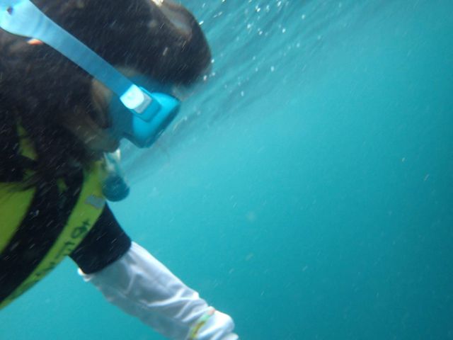 ߂ĊCŉjwN1lŐ搶ƉjłƂII__CrOT[rXMC