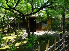 pon񂳂̒يtւ̓eʐ^1