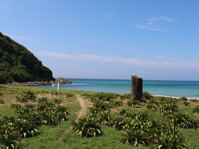 �n�}�I���g�Q��_��ʃm�l�C������