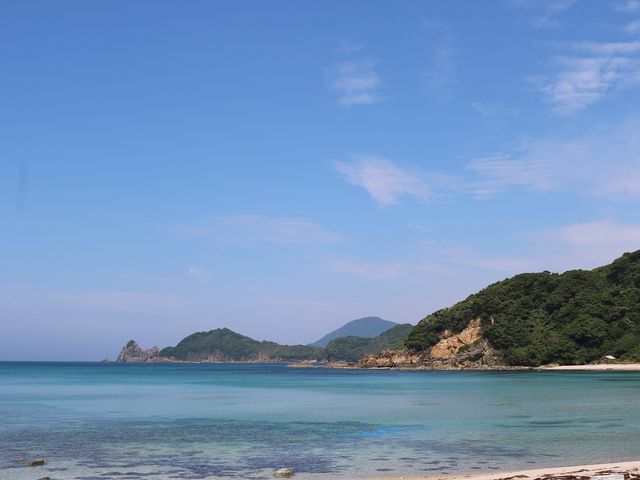 ��ʃm�l�C������_��ʃm�l�C������