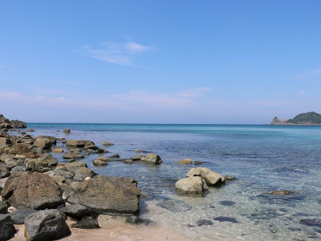 ��ʃm�l�C������_��ʃm�l�C������