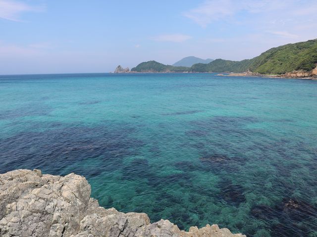 ��ʃm�l�C������_��ʃm�l�C������