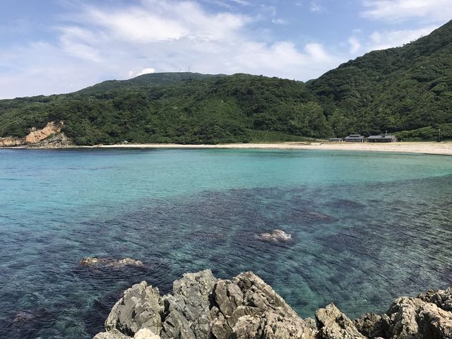 ��ʃm�l�C������_��ʃm�l�C������