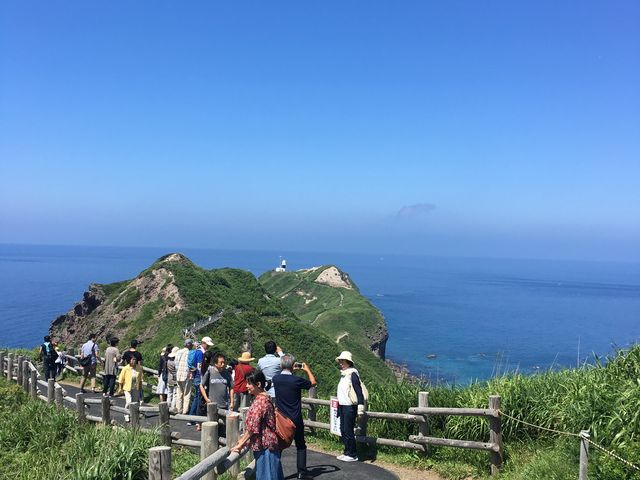 ����(��������)�̌�������ڎw���ĕ����܂��B_�_�Ж�