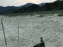 uchinakảicEȂlւ̓eʐ^1