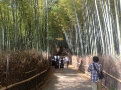 L̂ł̒|т̓ւ̓eʐ^1