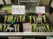 ݂񂳂̊ۊ킳ѓX{X̓eʐ^1