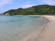 �e�c��������̓�ʃm�l�C������̓��e�ʐ^11