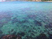 �e�c��������̓�ʃm�l�C������̓��e�ʐ^6