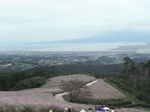 �C�ƃR�X���X_���ؕ􍂌�