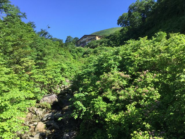 ���R�y�A���t�g