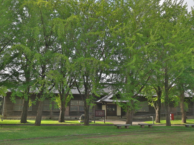 �����˔_�ƍ����w�Z�{��_�����C�����w�Z�{�ف^�����˔_�ƍ����w�Z�{��