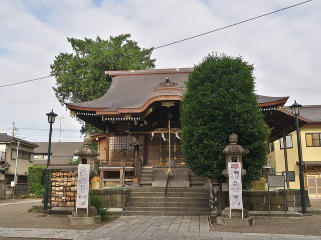 ���c�{��_��_���c�{��_��