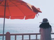 񂽂̃fj[YtRX˓X̓eʐ^1