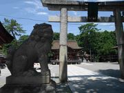 �ӂ�����̒��_�����{�̓��e�ʐ^1