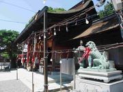 �ӂ�����̒��_�����{�̓��e�ʐ^3