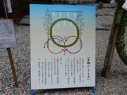 w-masa����̔��R�����_�Ђ̓��e�ʐ^2