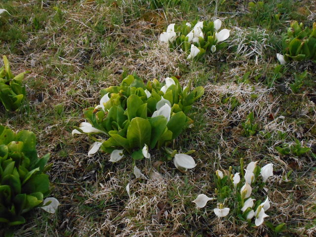 ���m��_�����r