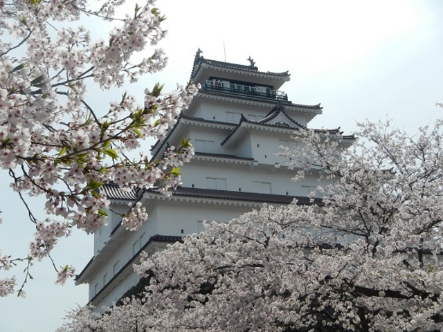 ����_�ᏼ��V��t