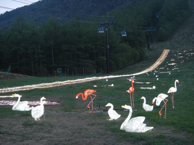 asukâ獂XL[̓eʐ^2