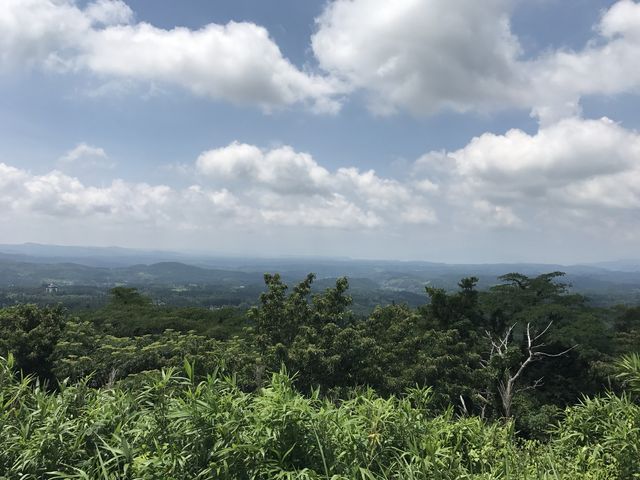 �i�F���Y��ł�_��������