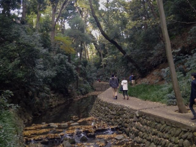 oΏZXȂ̂ɁǍiς͂I_X͌kJ