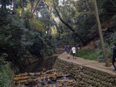 J[vDā̓X͌kJւ̓eʐ^1