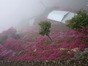 ǂ݂̍J̐ΐς݂̓eʐ^1