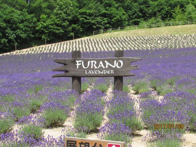 CnEX̏̋uɃx_[_ӂ̃CnEX