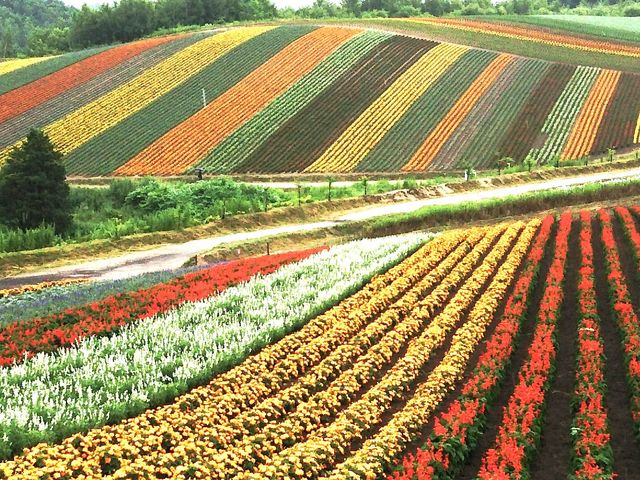 ���˂�_�l�G�ʂ̋u