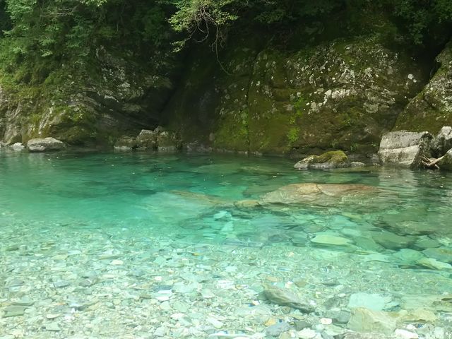 �m���u���[_�����k�J
